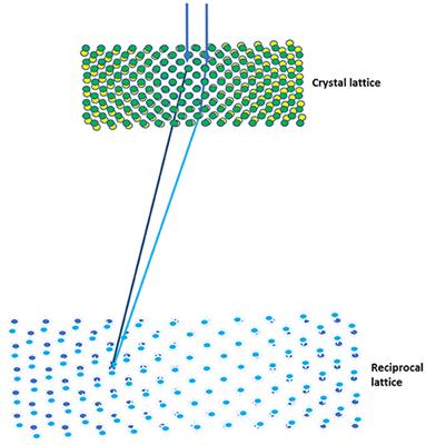 The Evolution and the Advantages of MicroED